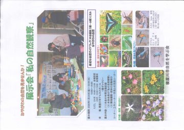 ねやがわの自然を見ませんか！展示会『私の自然観察』