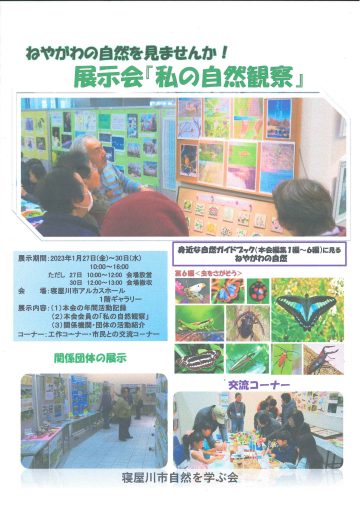 ねやがわの自然を見ませんか！展示会『私の自然観察』